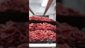 ground beef recalled