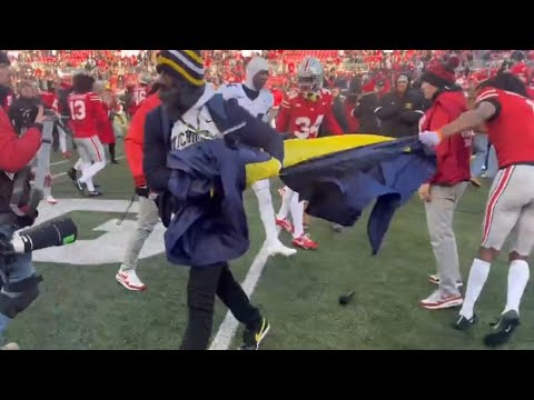 ohio state michigan fight video